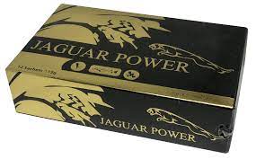 Jaguar Power